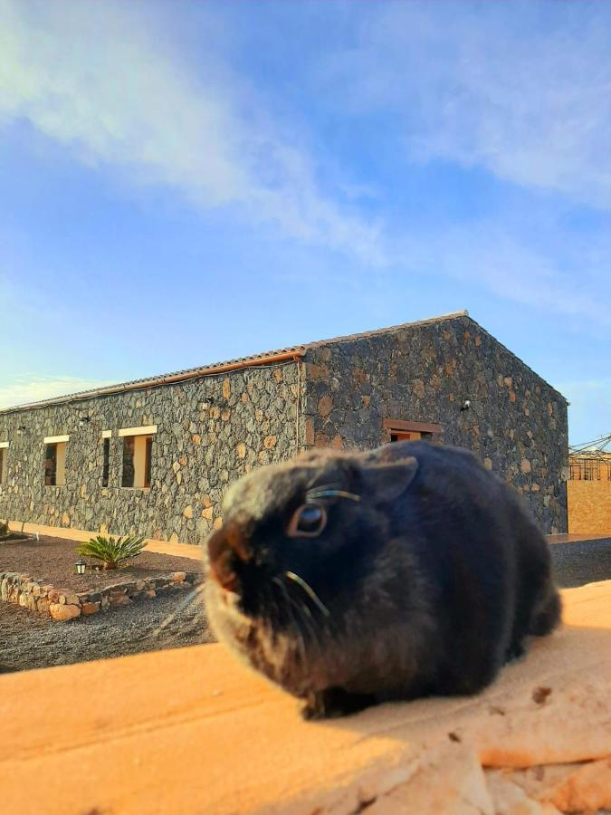 Agriturismo El Bounty1 Puerto del Rosario  Bagian luar foto